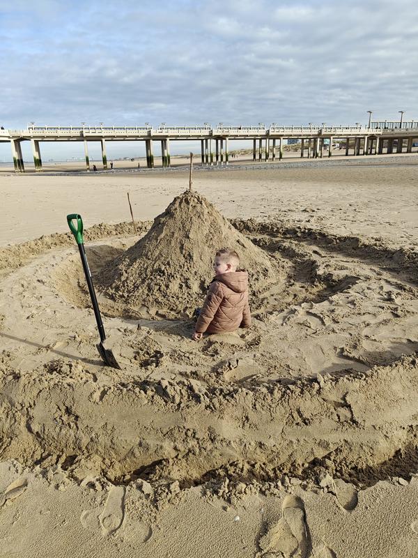 Afbeelding van een zandkasteel op strandverblijf.be 